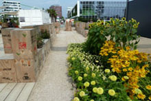 Containerwelt Hafen (links) mit Blick auf die Blumenhalle (rechts hinten) (Foto Chris Baudy)