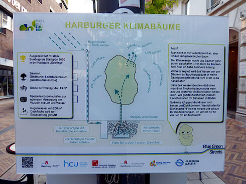Bild 31: Tafel zur Klimabaum-Pflanzung (Foto: Gisela Baudy)