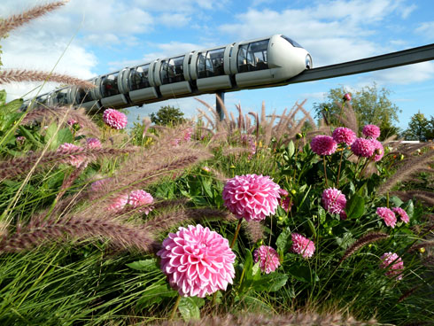 Monorail vor Blumenmeer (Foto Gisela Baudy)