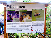 Infotafel zum Insektenhotel (Foto Gisela Baudy)