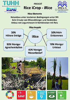 16 TUHH - Institut für Abwasserwirtschaft und Gewässerschutz Dr. T.M. Shah – Projekt: Rice iCrop – iRice (Nachhaltiger Reisanbau)
