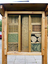 Blick in das Innere des Bienenhotels (Foto Gisela Baudy, 09.10.21)