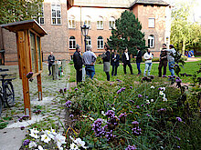 Insektenhotel in der grünen Anlage des Harburger Rathauses (Foto Gisela Baudy)