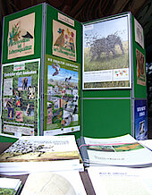 Infotafeln zum Infostand Artenvielfalt (Ausschnitt, Foto gb)