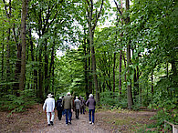 Wald-Exkursion in Eissendorf (Foto: Gisela Baudy)