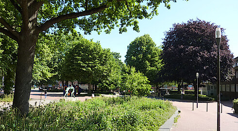 Max-Schmeling-Park beim Harburger Rathaus (Foto Chris Baudy 13.06.24)