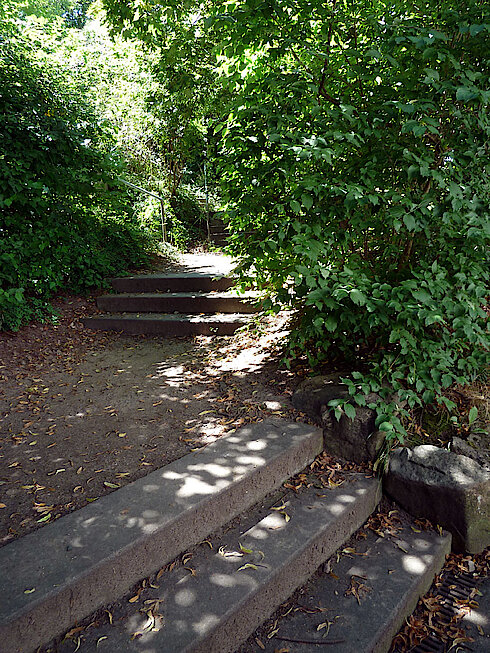 Bild 24: Grüner Zugang zur Kletterwand (siehe Foto 21)