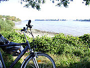 the River Elbe, bicycle in the foreground (photo by Gisela Baudy)