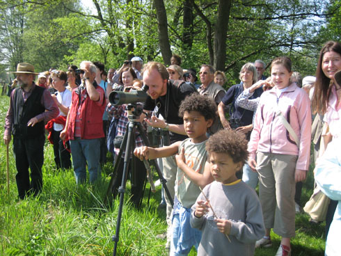 Naturführung mit dem NABU in Harburg (Foto: NABU)