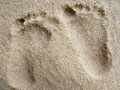 Fußspuren im Sand (Foto Gisela Baudy)